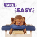 Kort Take It Easy 13,7x13,7cm
