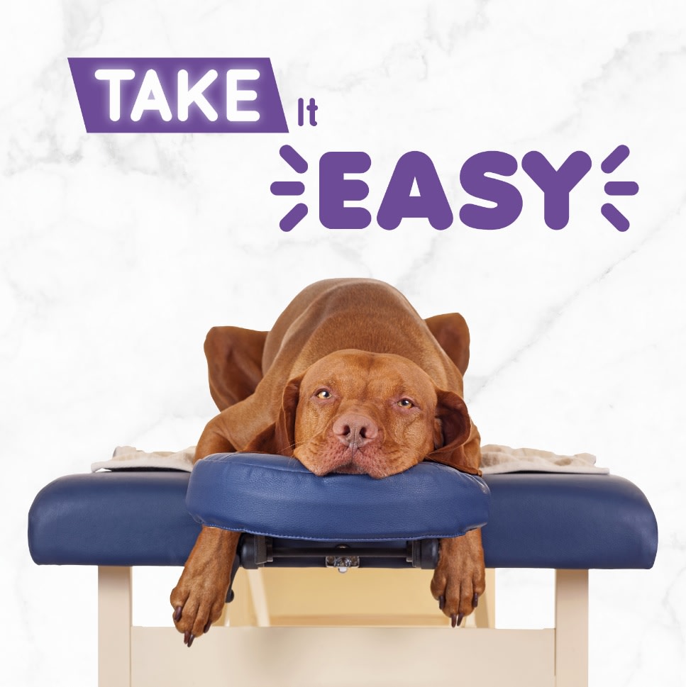 Kort Take It Easy 13,7x13,7cm