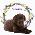 Kort With Love Labrador 13,7x13,7cm