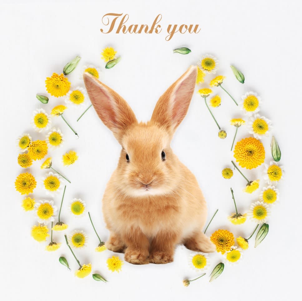 Kort Thank You, Kanin 13,7x13,7cm