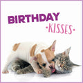 Kort Birthday Kisses 13,7x13,7cm