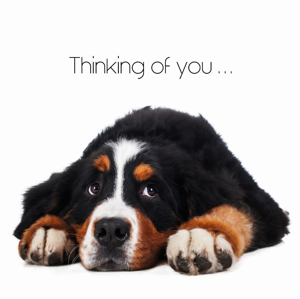 Kort Thinking of You... 13,7x13,7cm