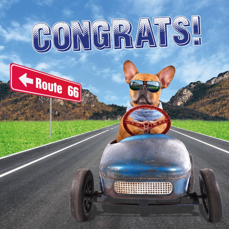 Kort Congrats! Fransk Bulldog 13,7x13,7cm