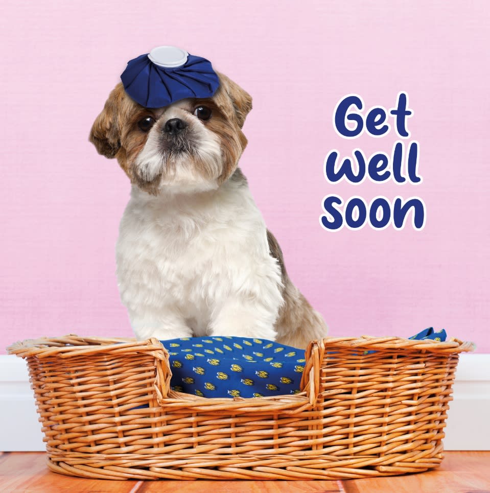 Kort Get Well Soon 13,7x13,7cm