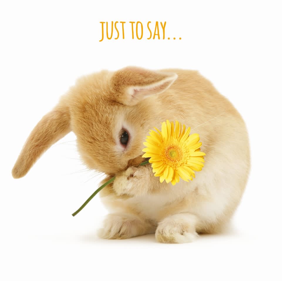 Kort A Little Something 13,7x13,7cm