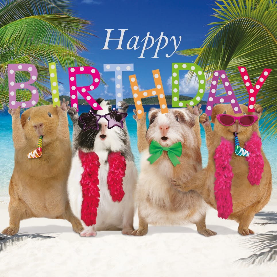 Kort Happy Birthday, Party 13,7x13,7cm