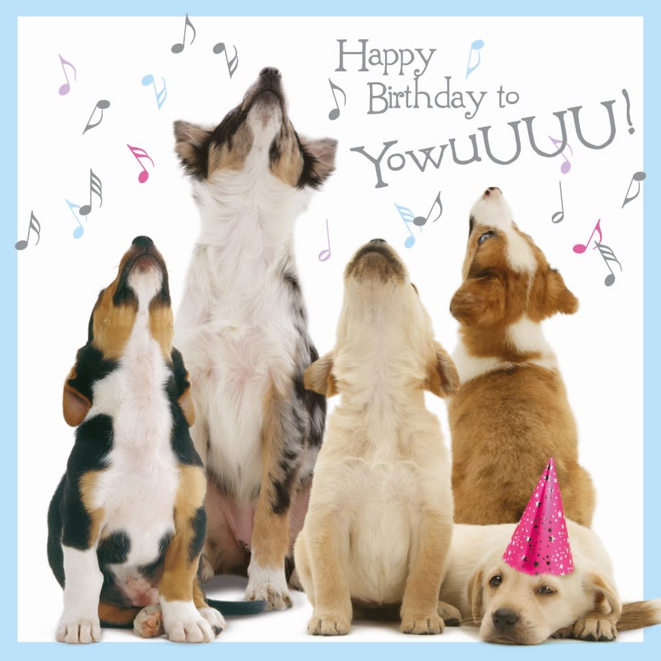 Kort Happy Birthday to Yowuuuu! 13,7x13,7cm