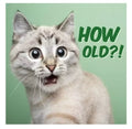 Kort How Old Cat 13,7x13,7cm