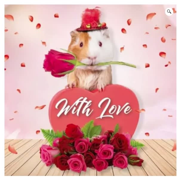Kort With Love Guinea Pig 13,7x13,7cm