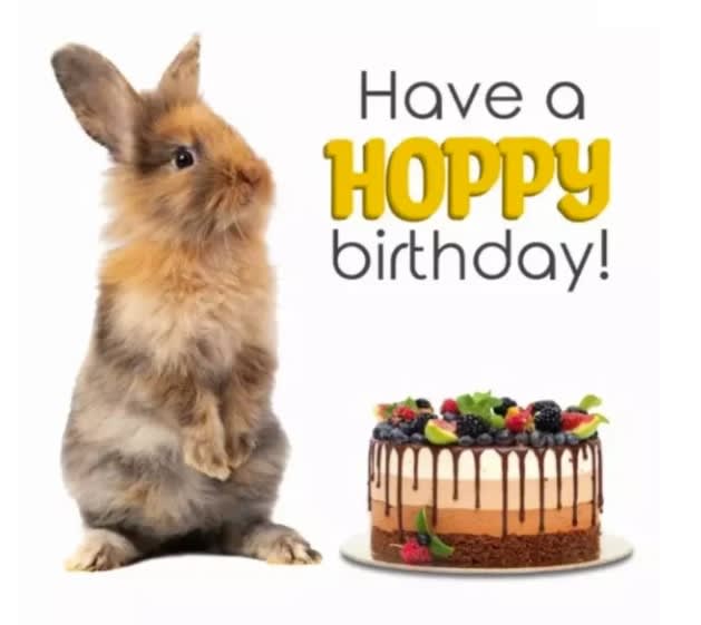 Kort Hoppy Birthday 13,7x13,7cm