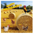 Kort Happy Birthday Chickens 13,7x13,7cm