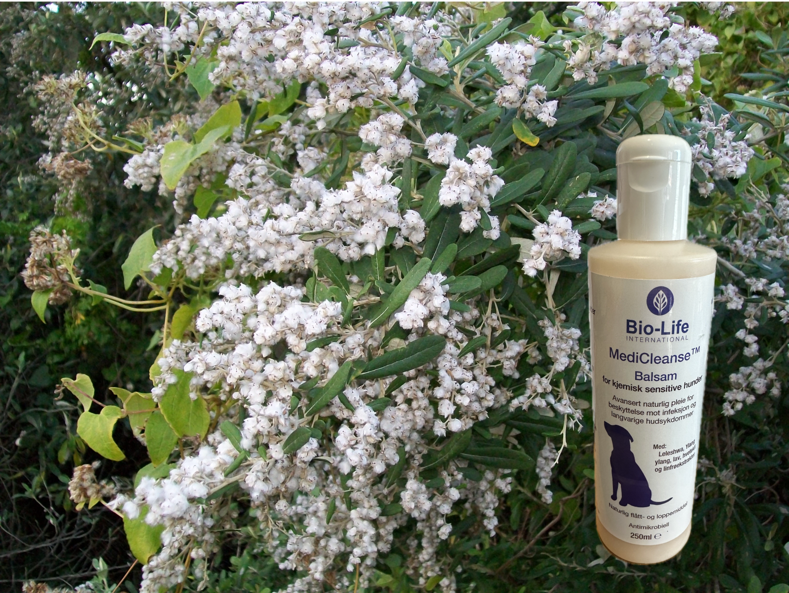 MediCleanse Balsam Hund (Allergi Hemmende) 250ml