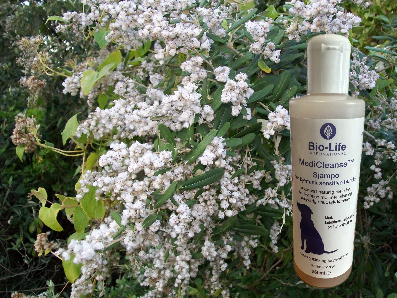 MediCleanse Sjampo Hund (Allergi Hemmende) 250ml