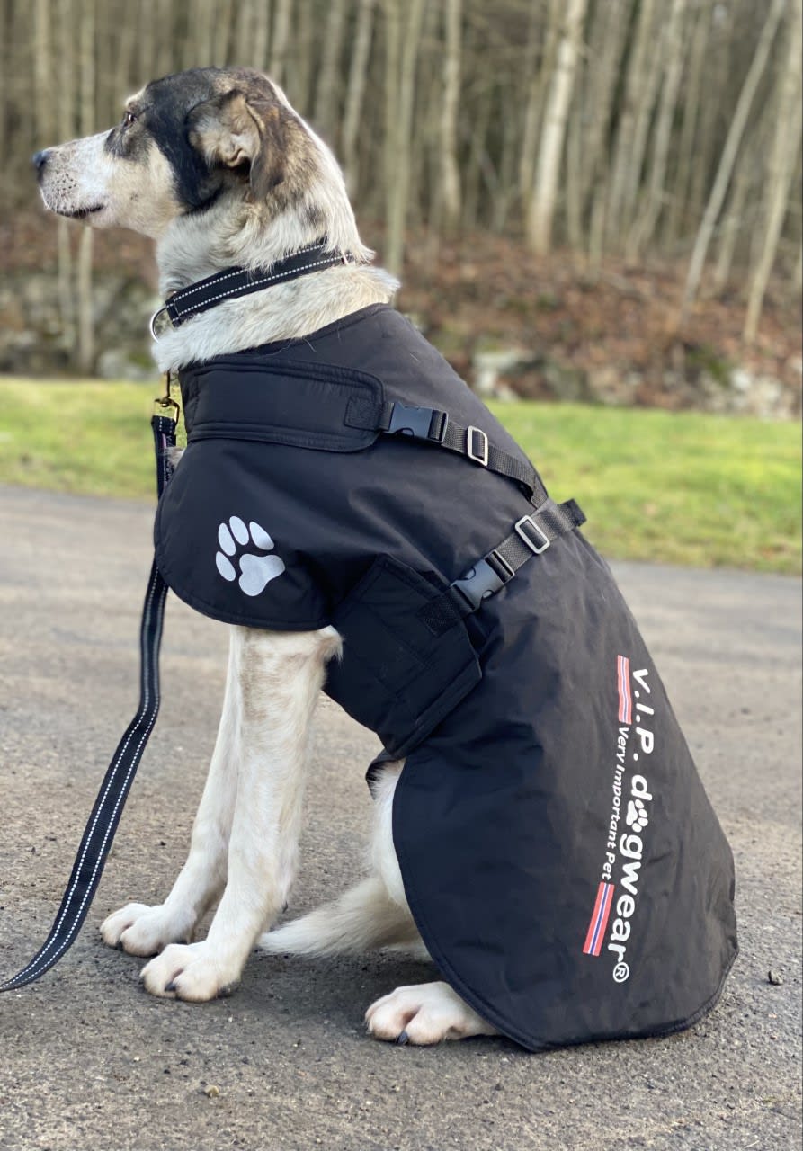 Hundedekken VIP Fast Track Sort 
