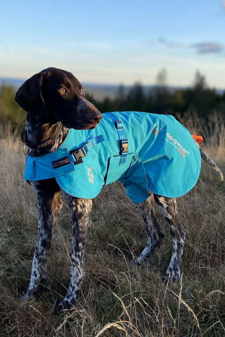 Hundedekken VIP Fast Track Turkis 